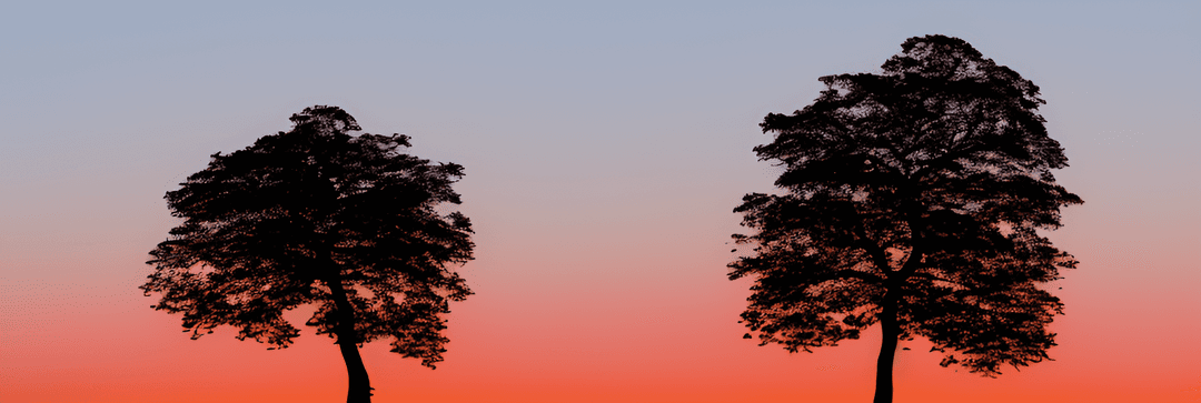 Twilight Tree